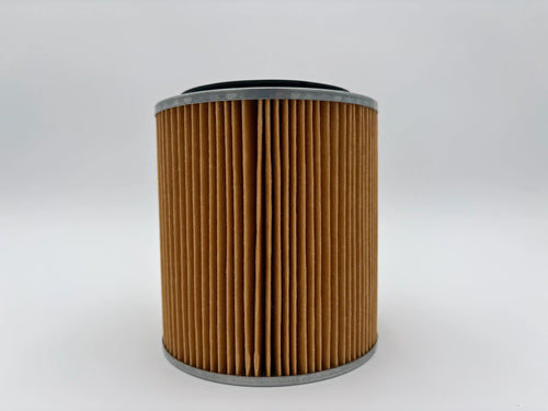 Acty Engine Air Filter - OEM